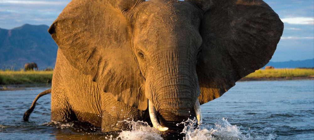 Ruckomechi Camp, Mana Pools National Park, Zimbabwe - Image 19