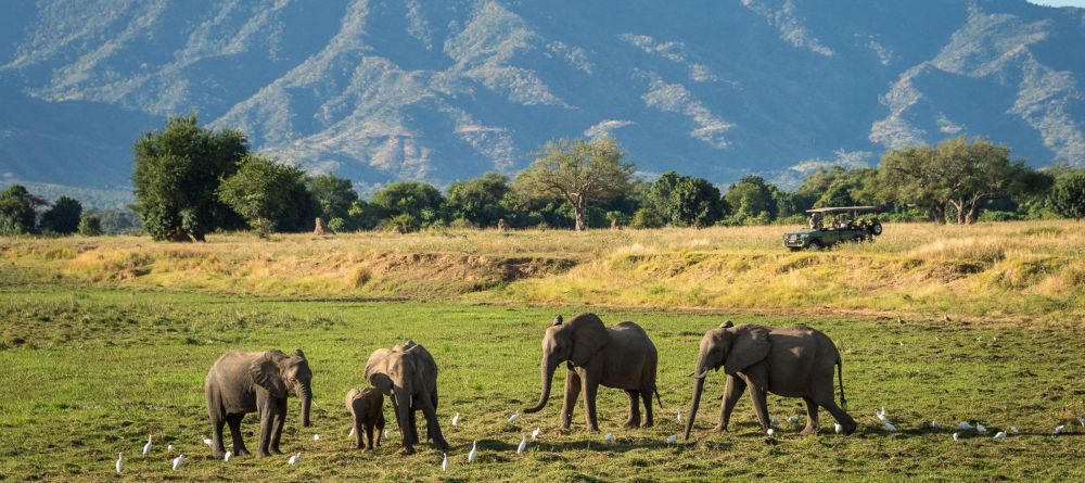 Ruckomechi Camp, Mana Pools National Park, Zimbabwe - Image 23