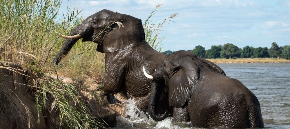 Ruckomechi Camp, Mana Pools National Park, Zimbabwe - Image 27