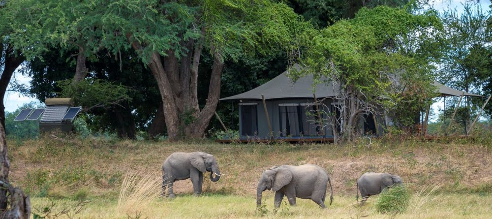 Ruckomechi Camp, Mana Pools National Park, Zimbabwe - Image 24