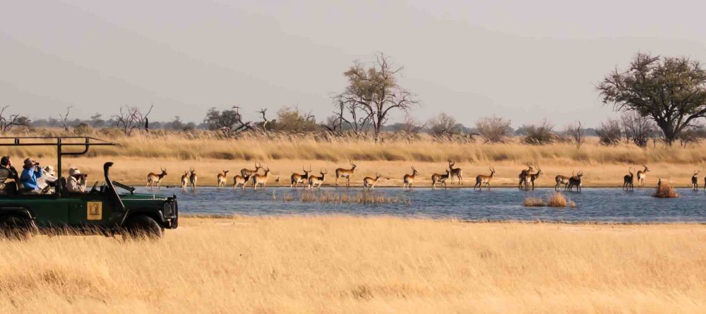 Game drive at Xakanaxa Camp, Moremi Game Reserve, Botswana (Russell Gammon) - Image 7