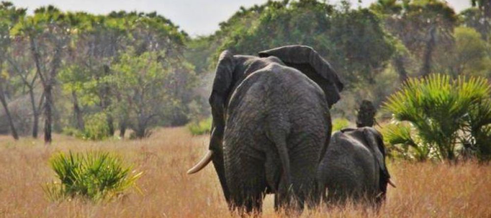 Saandani Safari Lodge, Saandani National Park, Tanzania - Image 1