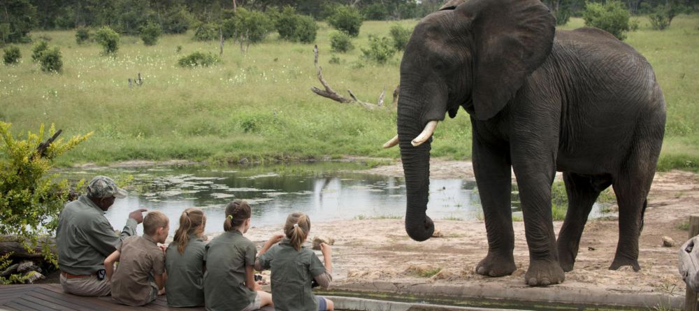 Elephant in Camp - Image 6