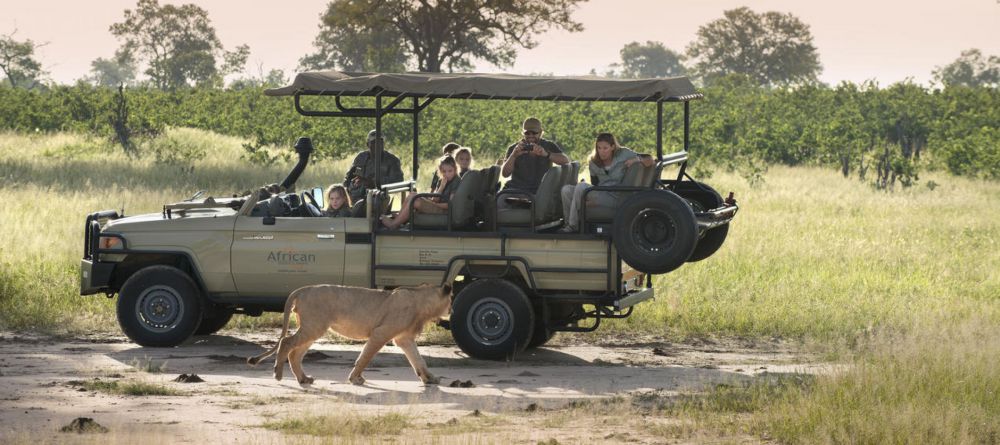 Game Drive - Image 8