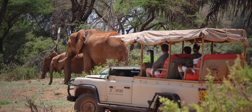 Samburu Saruni, Samburu National Reserve, Kenya - Image 6