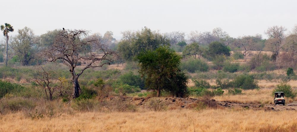 Sand Rivers Selous, Selous National Park, Tanzania Â© Nomad Tanzania - Image 9
