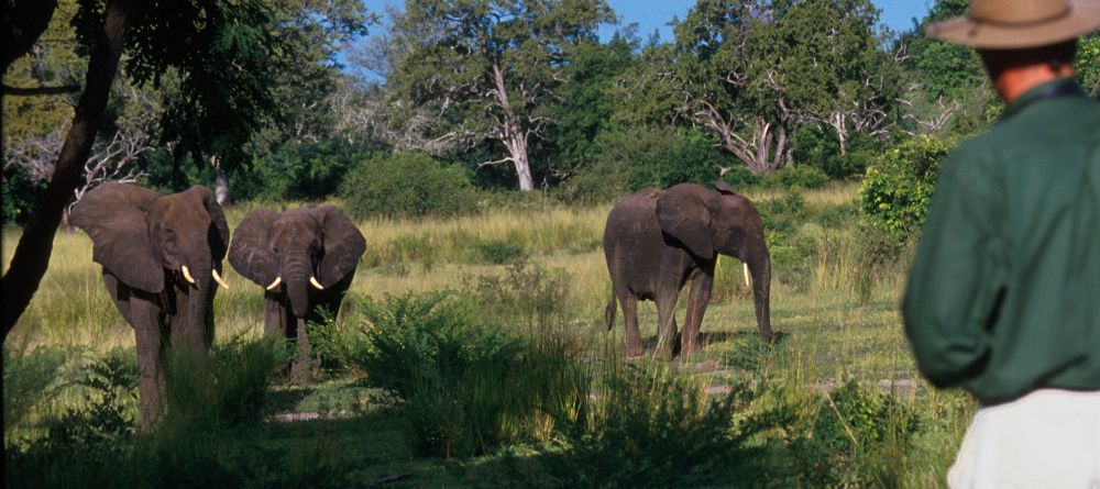 Sand Rivers Selous, Selous National Park, Tanzania Â© Nomad Tanzania - Image 14