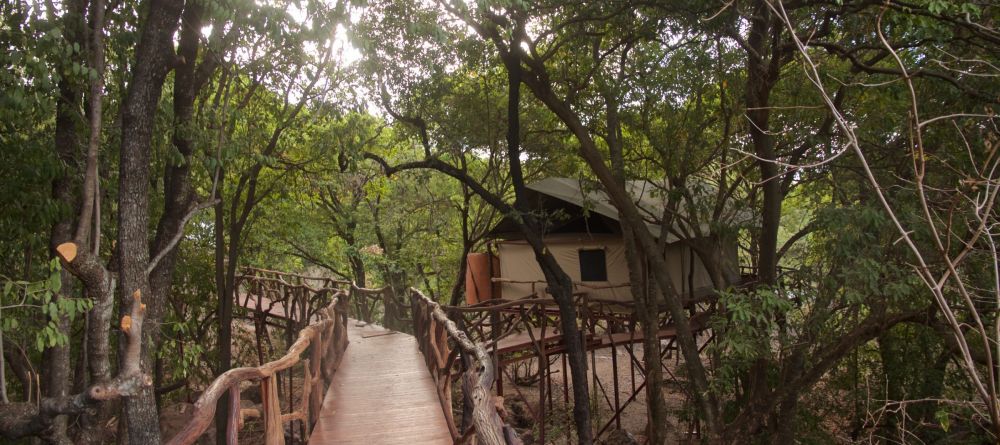 Sarara the Treehouses - Tent in the forest - Image 2