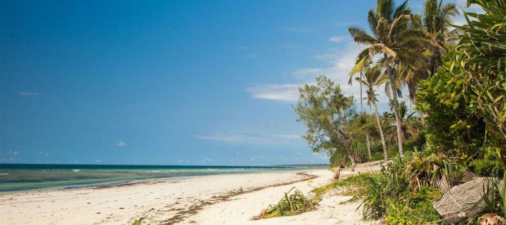 Saruni Ocean, Msambweni Beach, Kenya - Image 3