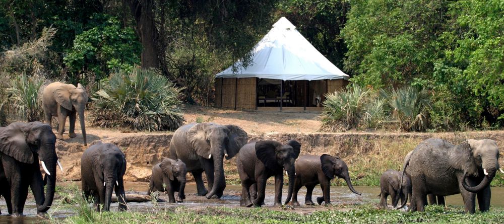 Sausage Tree Camp, Lower Zambezi National Park, Zambia - Image 9