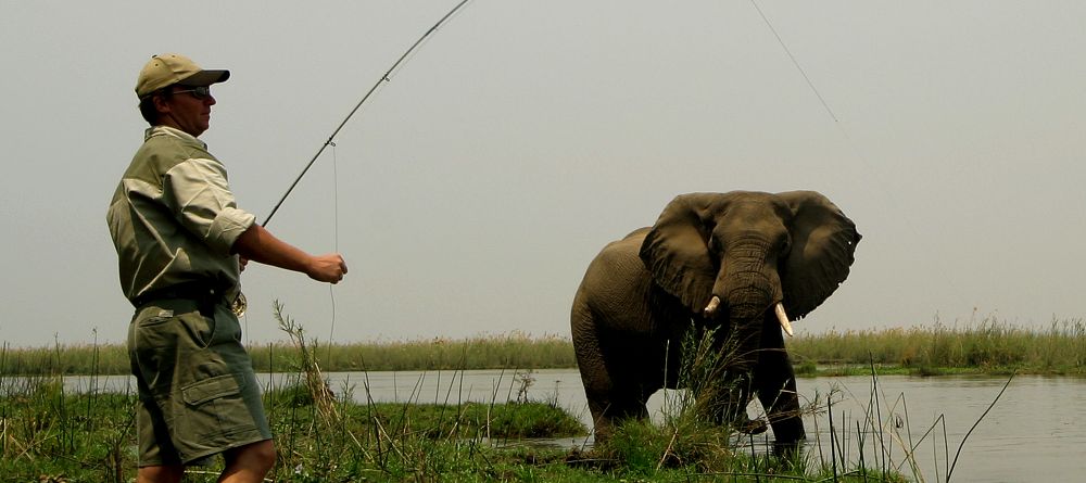 Sausage Tree Camp, Lower Zambezi National Park, Zambia - Image 11