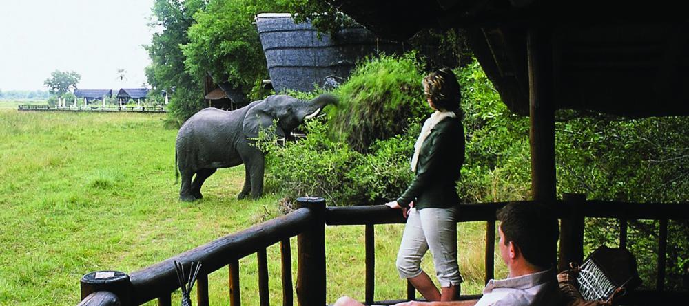 Savute Elephant Camp, Chobe National Park, Botswana - Image 2