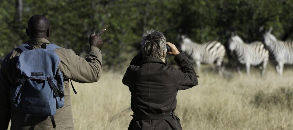 Morning game walk at Savuti Camp, Linyati Wetlands, Botswana (Dana Allen) - Image 2