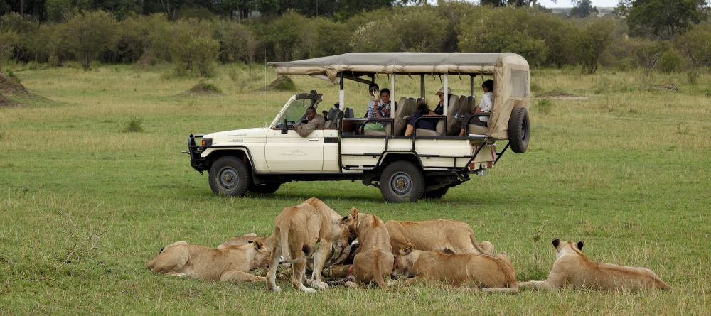 A game drive watches as lions feedr at Serengeti Bushtops Camp, Serengeti National Park, Tanzania - Image 1