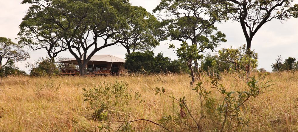 Tents are nestled amid the bush for a beautiful and natural settingr at Serengeti Bushtops Camp, Serengeti National Park, Tanzania - Image 13