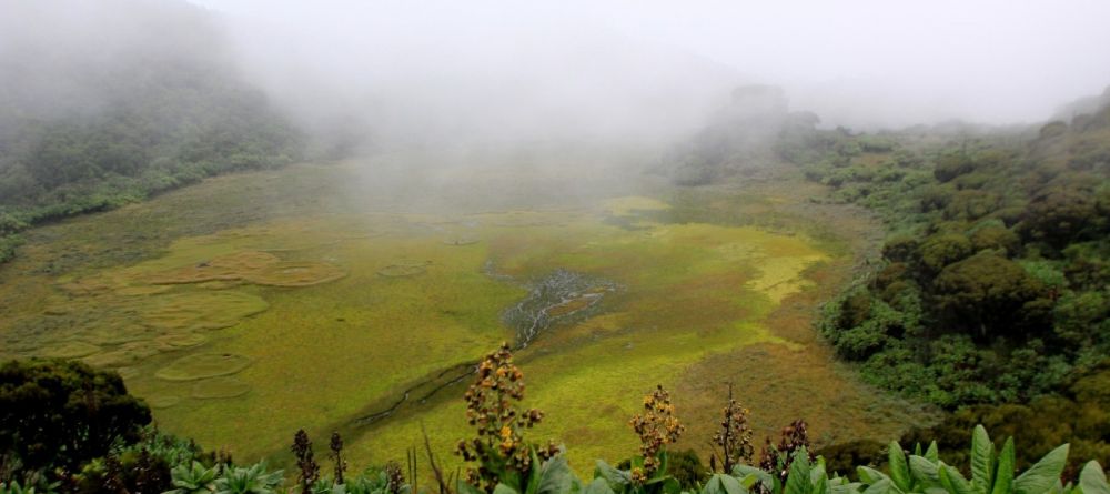 Scenery at Mount Gahinga Lodge, Mgahinga National Park, Uganda - Image 8