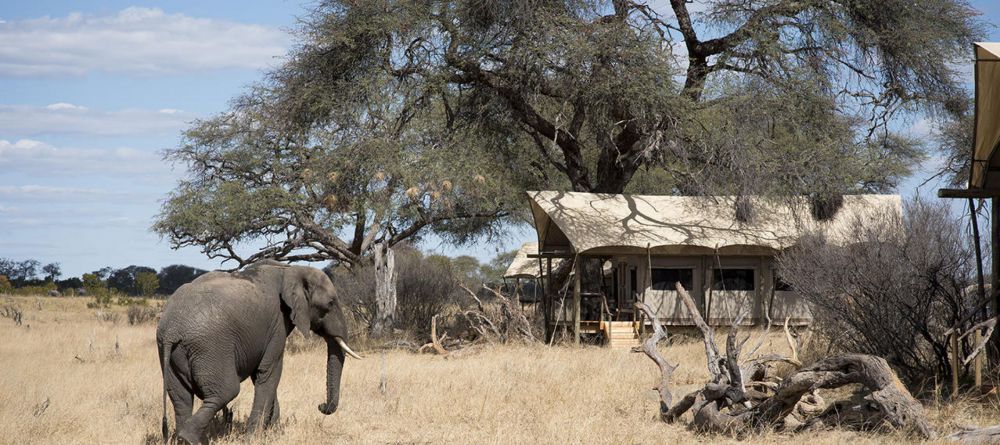 Somalisa Expeditions Camp - Image 3