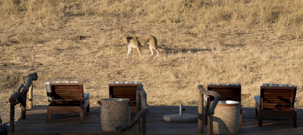 Somalisa Expeditions Camp - Image 5