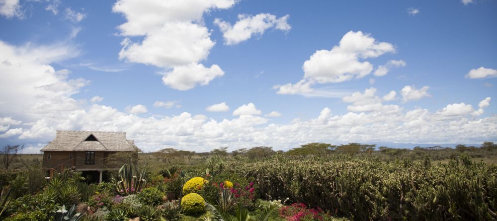 Landscape - Image 8