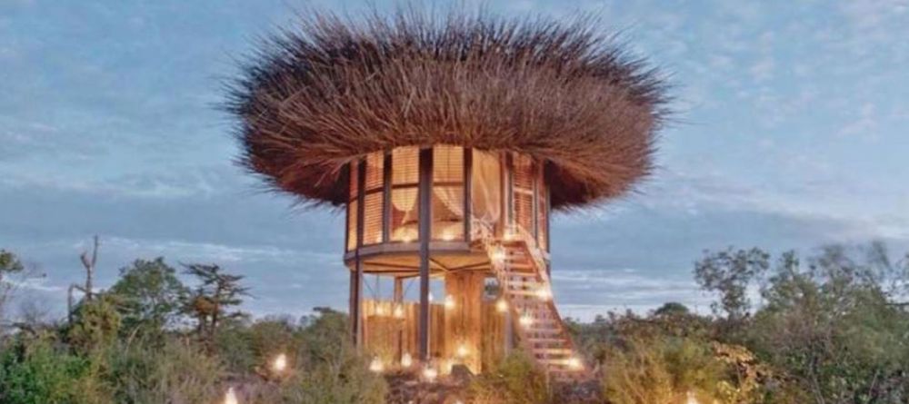 Segera Retreat Birds Nest Hide Out - Image 3