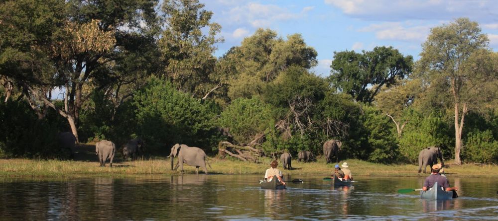 Elephants spotted from the boats on Selinda Canoe Trail, Linyati Wetlands, Botswana - Image 3