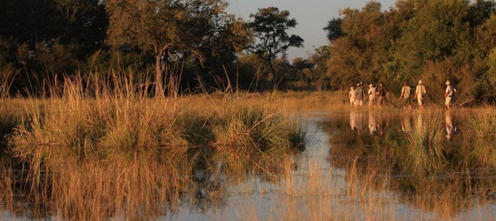 Stopping for a walk while on Selinda Canoe Trail, Linyati Wetlands, Botswana - Image 13