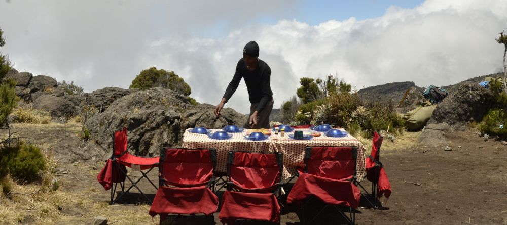 Lemosho Route, Kilimanjaro, Tanzania - Image 17