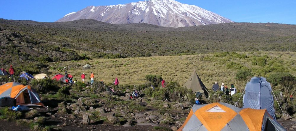 Lemosho Route, Kilimanjaro, Tanzania - Image 16