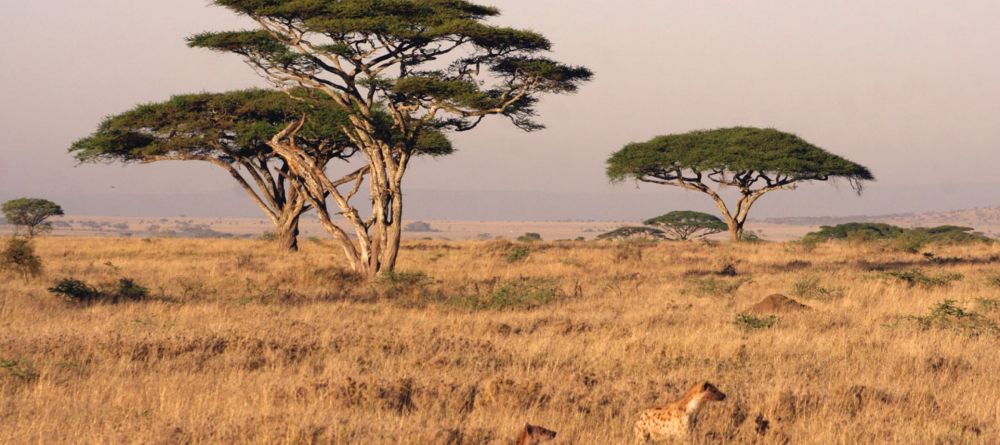 Mobile Camping - Serengeti - landscape - Image 3
