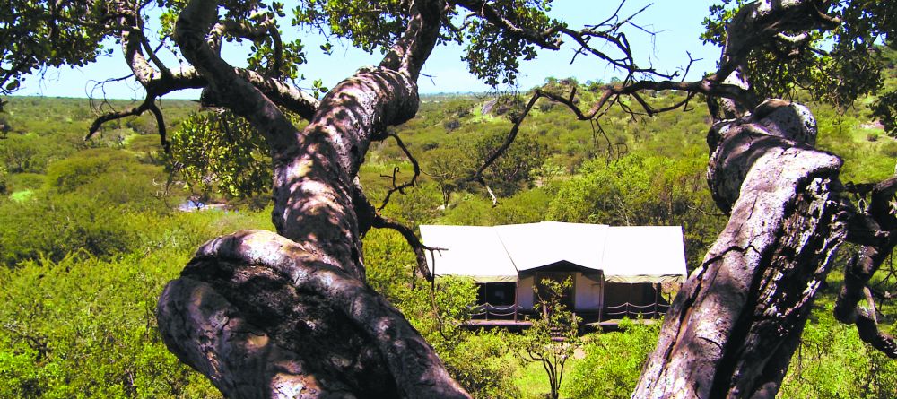 Serengeti Migration Camp, Serengeti National Park, Tanzania - Image 5