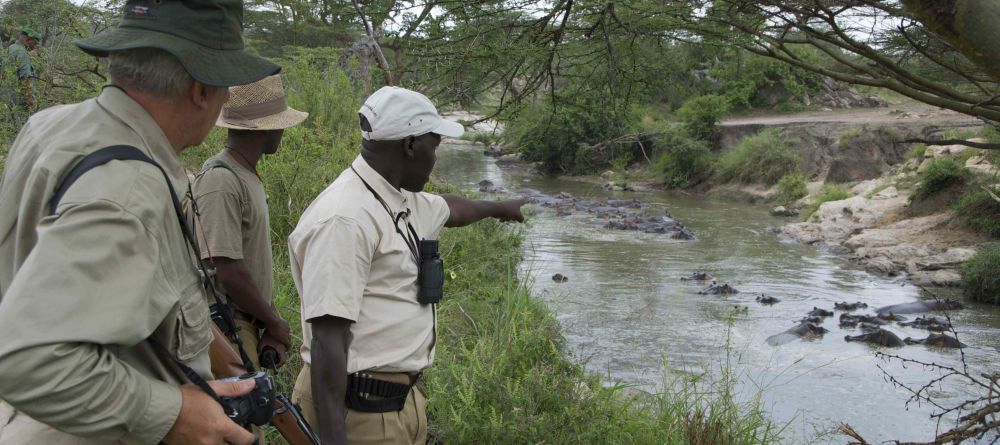 Serengeti Migration Camp, Serengeti National Park, Tanzania - Image 11