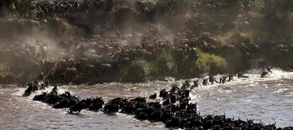 Serengeti Migration Camp, Serengeti National Park, Tanzania - Image 10