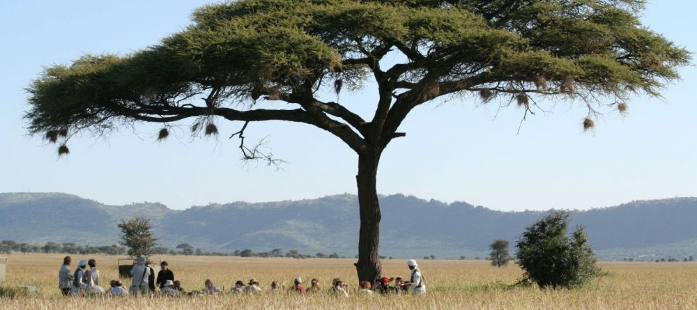Safari picnic at Serengeti Wilderness Camp Central - Image 4
