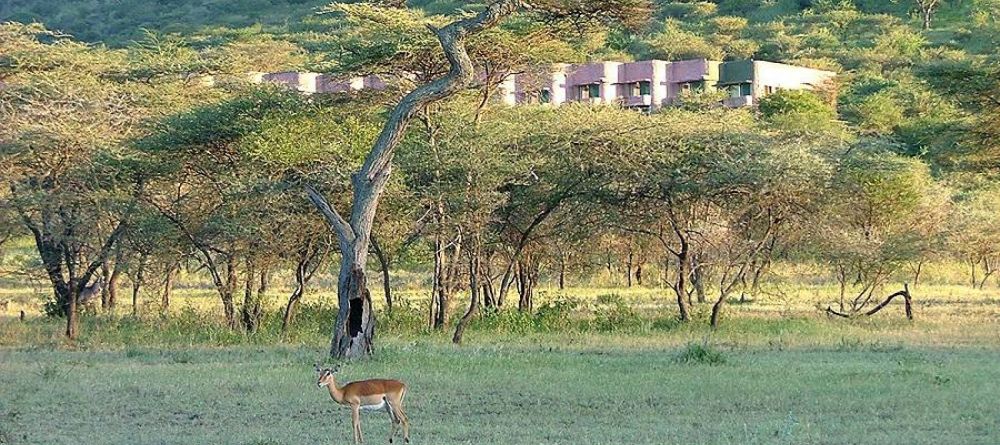 Serengeti Sopa Lodge, Serengeti National Park, Tanzania - Image 7