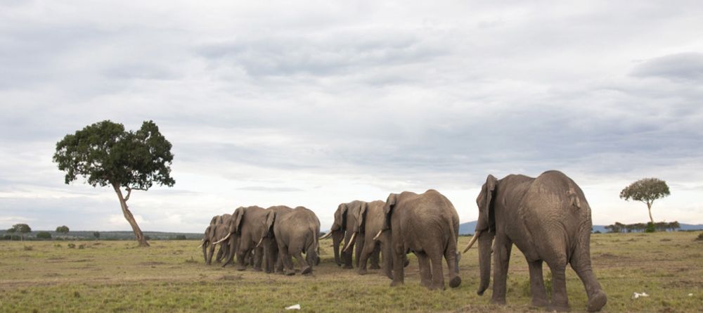 Serian Camp, Masai Mara National Reserve. Kenya - Image 2