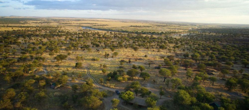 Serian Serengeti Lamai - Image 1
