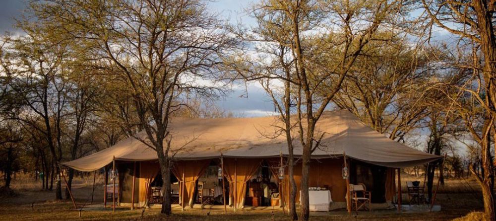 Serian Serengeti Lamai - Image 2