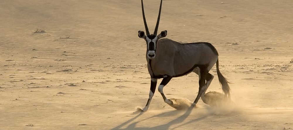 Serra Cafema, Hartmans Valley, Namibia Â© Dana Allen - Image 1