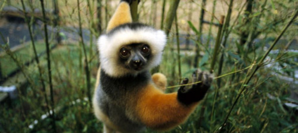 Setam Lodge, Madagascar - Image 3