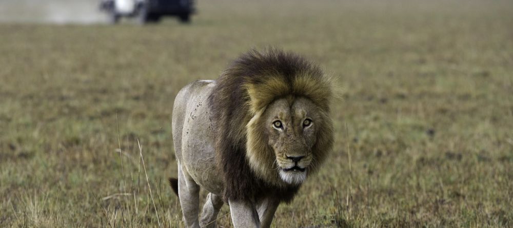 Shumba Camp, Kafue National Park, Zambia  Â© Dana Allen - Image 11