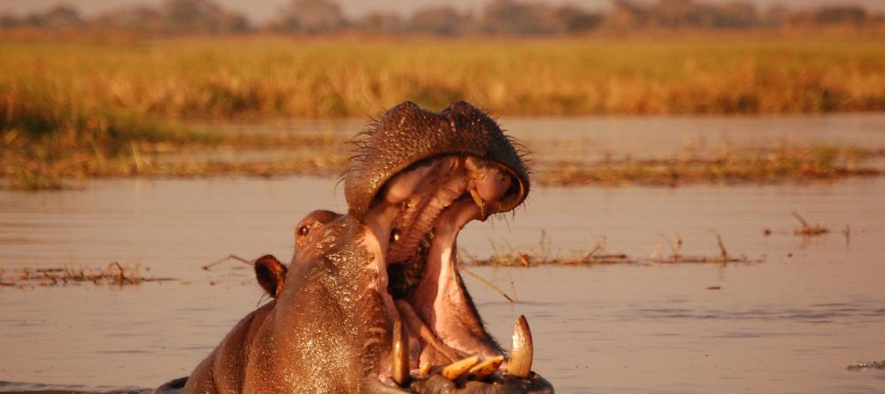 Shumba Camp, Kafue National Park, Zambia  Â© Lindi Douwenga - Image 1