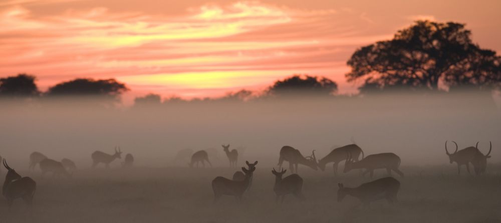 Shumba Camp, Kafue National Park, Zambia  Â© Michael Poliza - Image 12