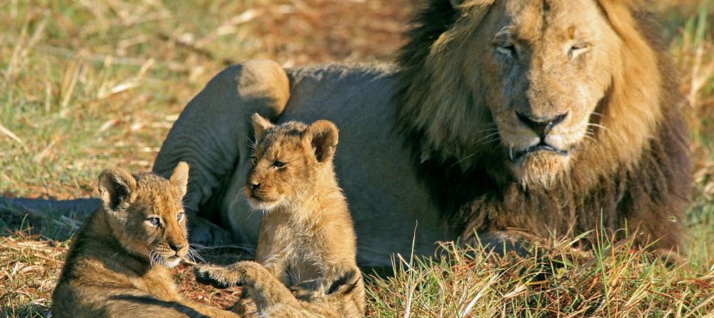 Shumba Camp, Kafue National Park, Zambia  Â© Mike Myers - Image 3