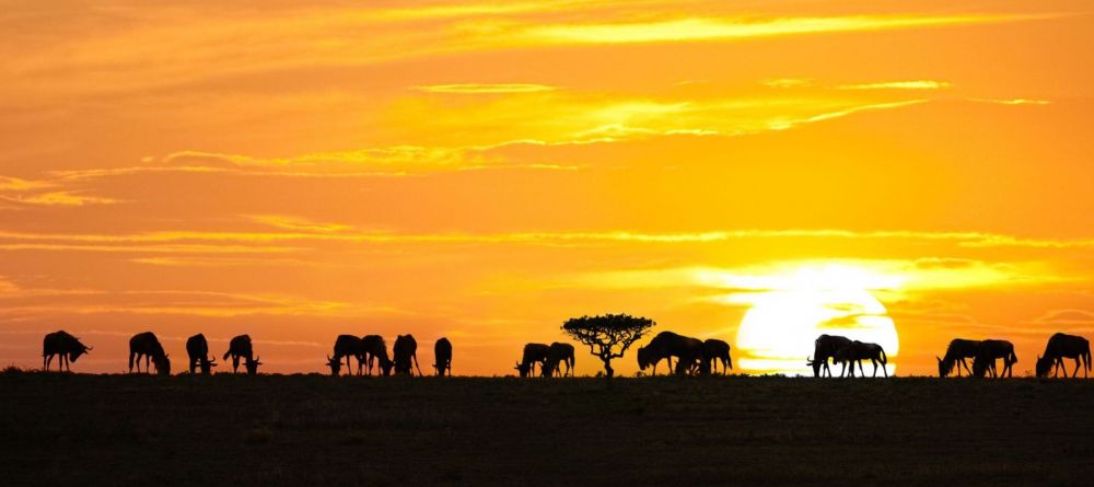 Mbuzi Mawe Tented Camp, Serengeti National Park, Tanzania - Image 6