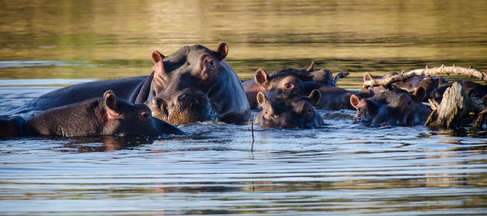 Simbavati River Lodge, Timbavati Game Reserve, South Africa - Image 23
