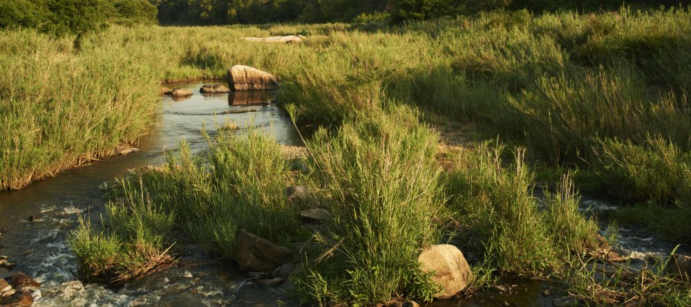 Singita Ebony Lodge, Sabi Sands Game Reserve, South Africa - Image 2