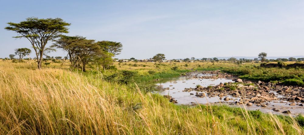 Singita Mara River Tented Camp - Image 16
