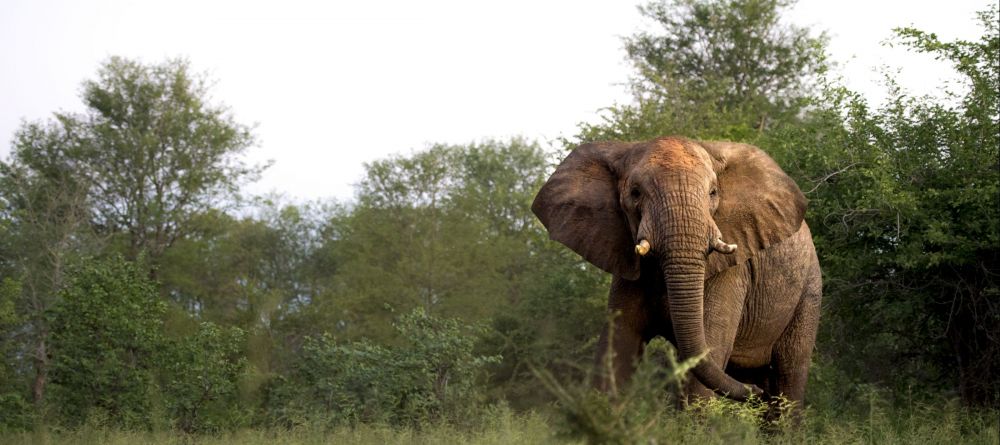 Singita Pamushana, Malilangwe Private Game Reserve, Zimbabwe - Image 19
