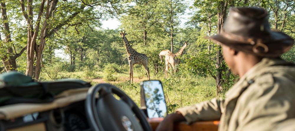 Singita Pamushana, Malilangwe Private Game Reserve, Zimbabwe - Image 23