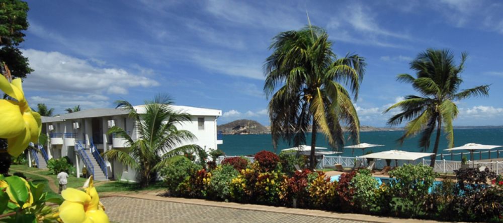 Allamanda - Image 9